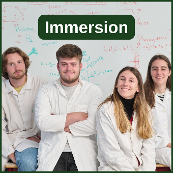Immersion en première année